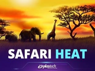 Safari Heat icon