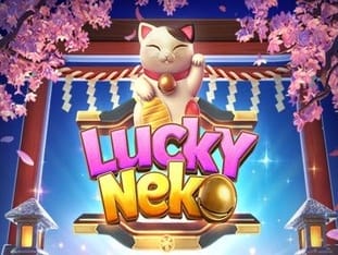 Lucky Neko icon